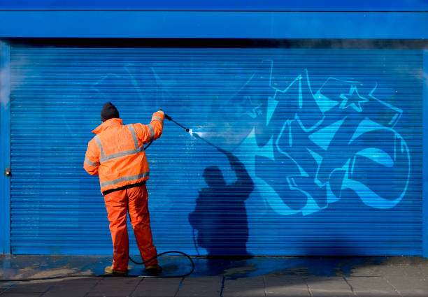 Best Local Pressure Washing Services  in Clarkton, MO