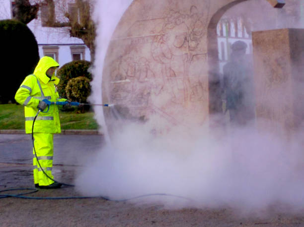 Best Pressure Washing Near Me  in Clarkton, MO