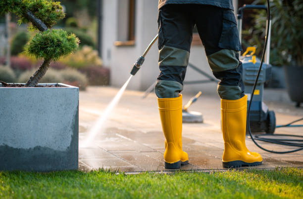 Best Affordable Power Washing  in Clarkton, MO